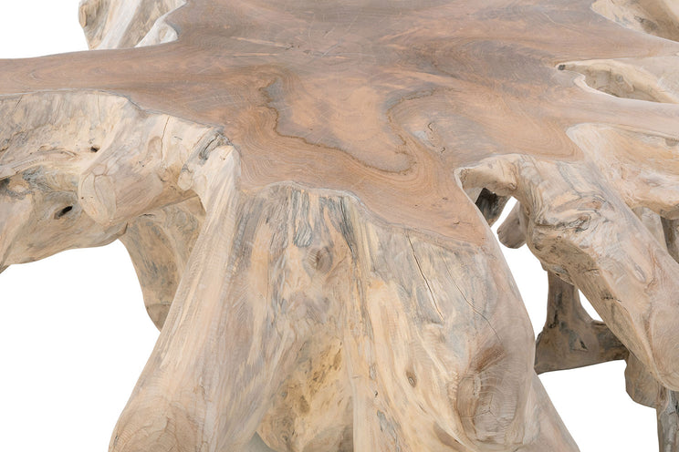 Cypress Root Coffee Table